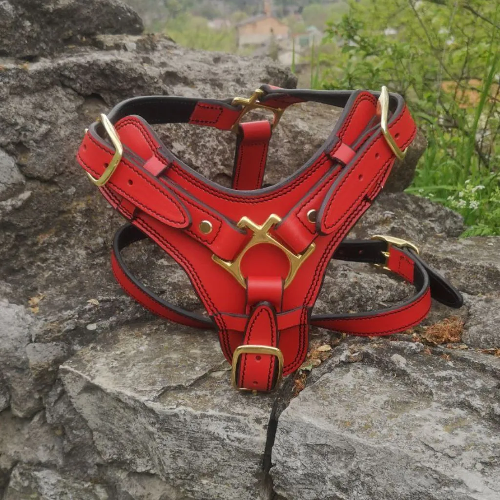 Red Leather Dog Harness