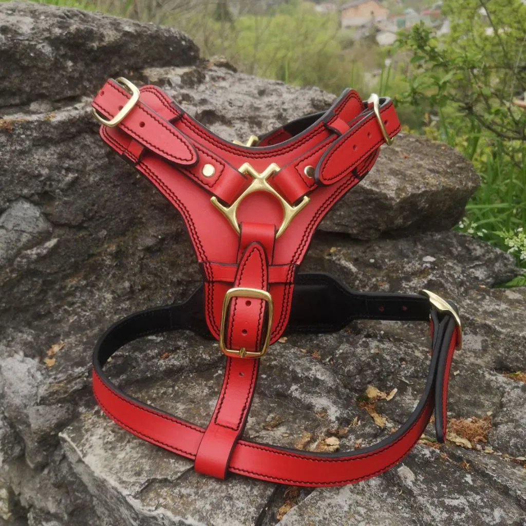 Red Leather Dog Harness