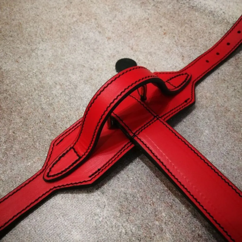 Red Leather Dog Harness