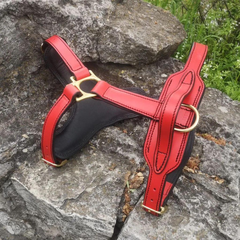 Red Leather Dog Harness