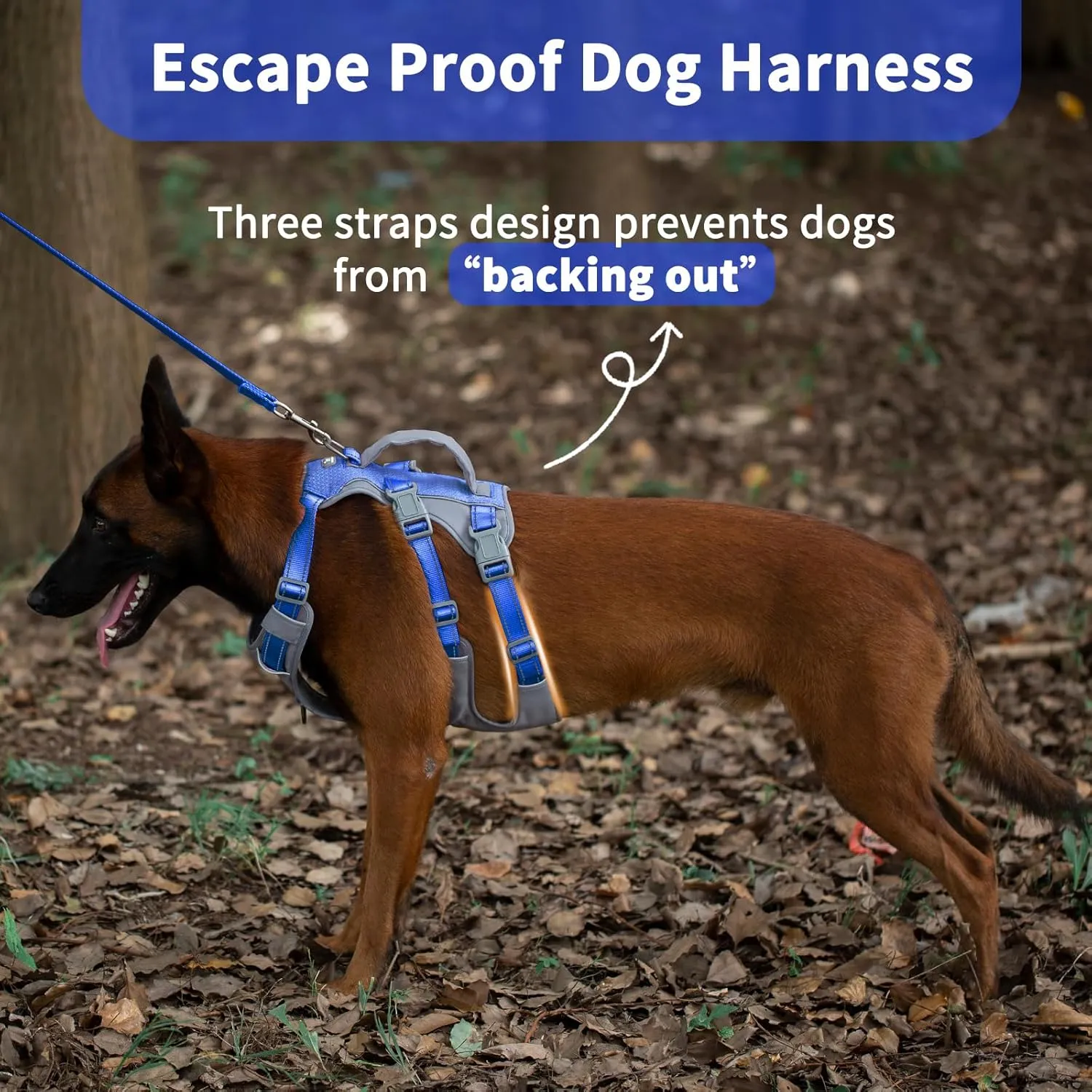 Reflective Dog Harness with Handle, Escape Proof, No Slip, Breathable, Lightweight, Adjustable Lift Harness for Small, Medium, and Large Dogs Walking, Training, and Running Gear(Sea Blue,M)