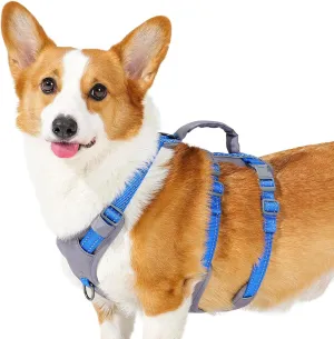 Reflective Dog Harness with Handle, Escape Proof, No Slip, Breathable, Lightweight, Adjustable Lift Harness for Small, Medium, and Large Dogs Walking, Training, and Running Gear(Sea Blue,M)