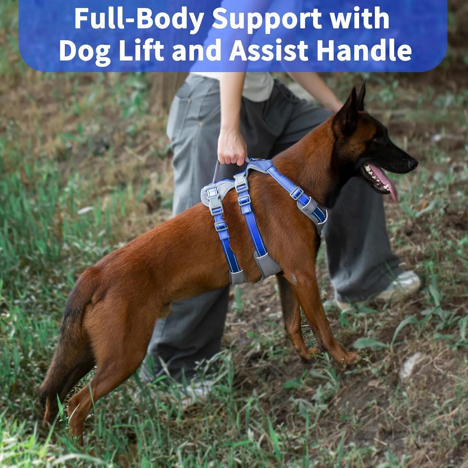 Reflective Dog Harness with Handle, Escape Proof, No Slip, Breathable, Lightweight, Adjustable Lift Harness for Small, Medium, and Large Dogs Walking, Training, and Running Gear(Sea Blue,M)