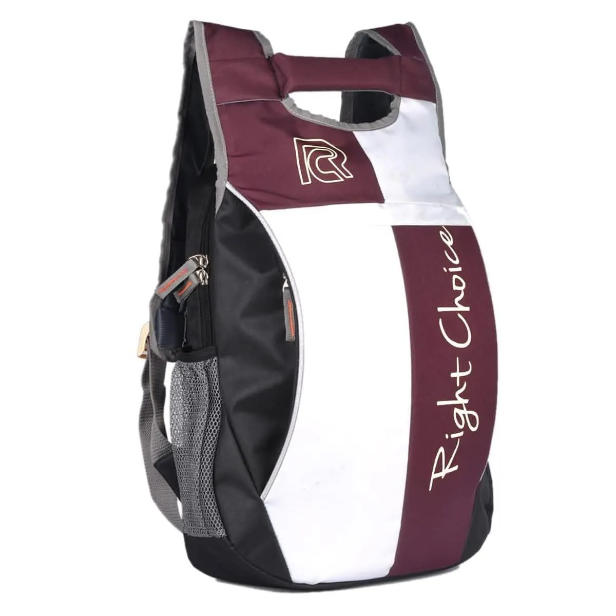 RightChoice Stylish Casual Backpack (Multi-Colour)