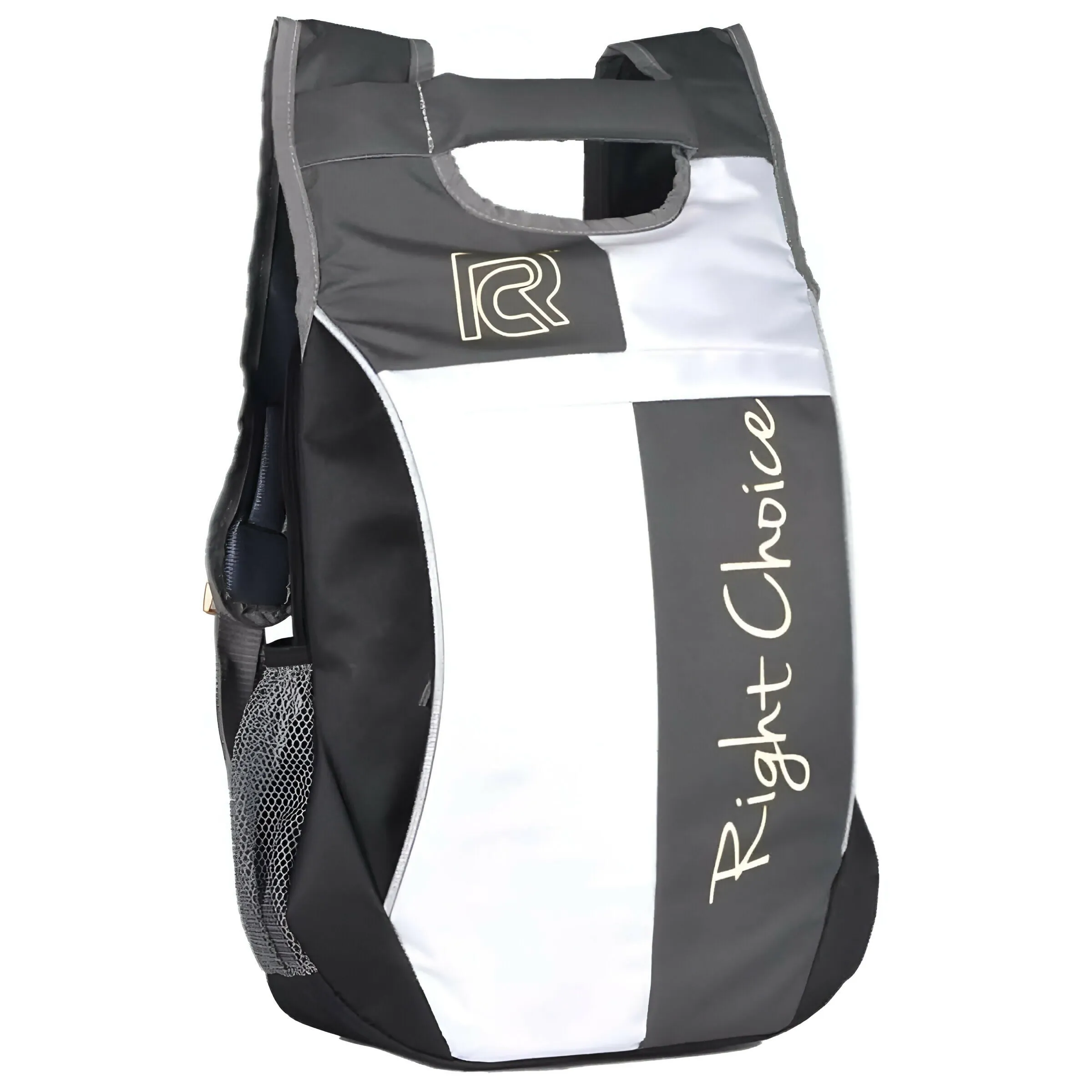 RightChoice Stylish Casual Backpack (Multi-Colour)