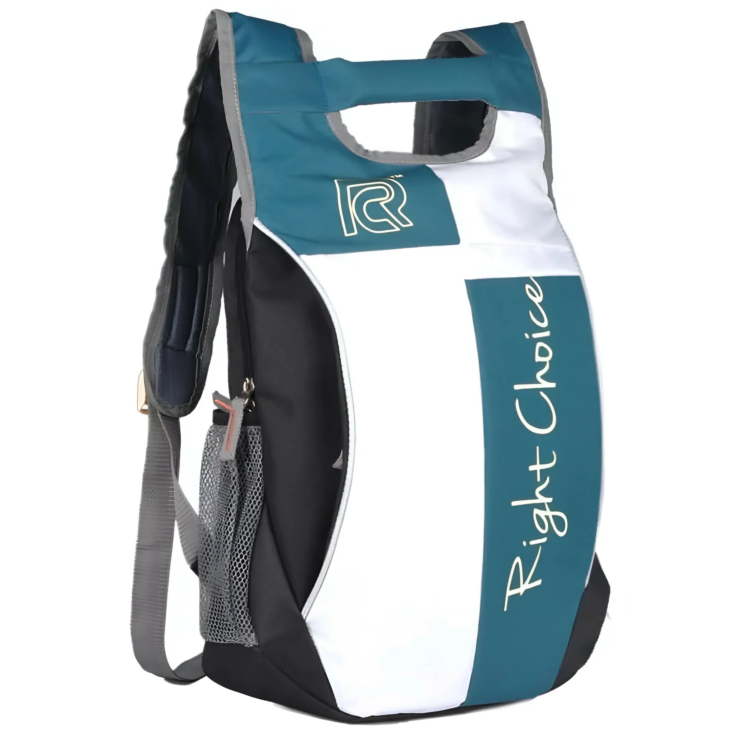 RightChoice Stylish Casual Backpack (Multi-Colour)