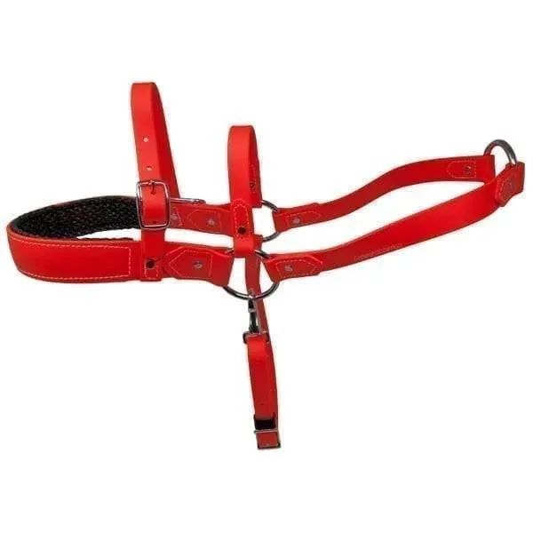 Roading Harness - Padded