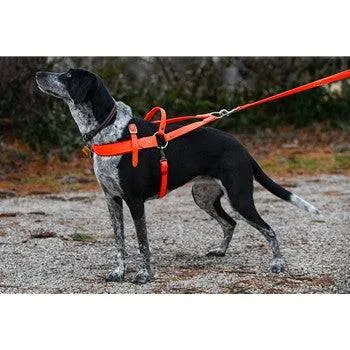 Roading Harness - Padded