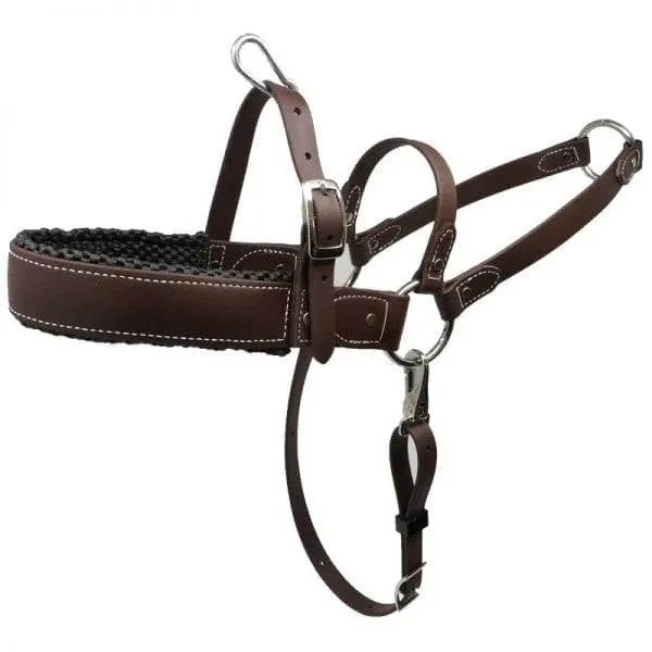 Roading Harness - Padded