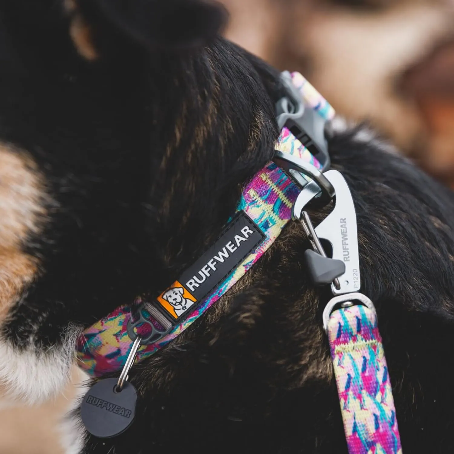 Ruffwear, Front Range Dog Collar, Durable and Comfortable Collar for Everyday Use, Spring Fade, 14"-20"