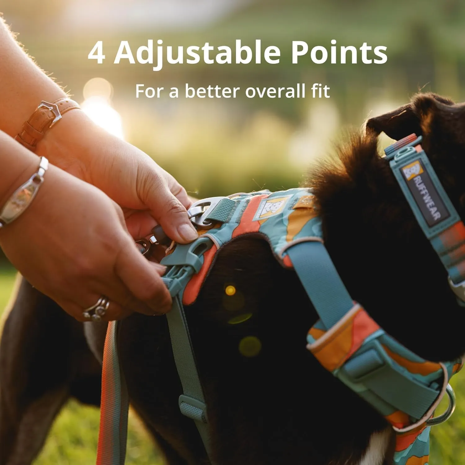 Ruffwear, Front Range Dog Harness, Reflective Soft Padded Everyday Harness with Dual Leash Clips, Adjustable and Lightweight Fit for Training or Walking for All Dogs, Spring Mountains, Small