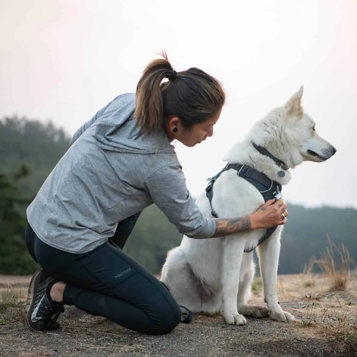 Ruffwear Front Range Harness Basalt Gray