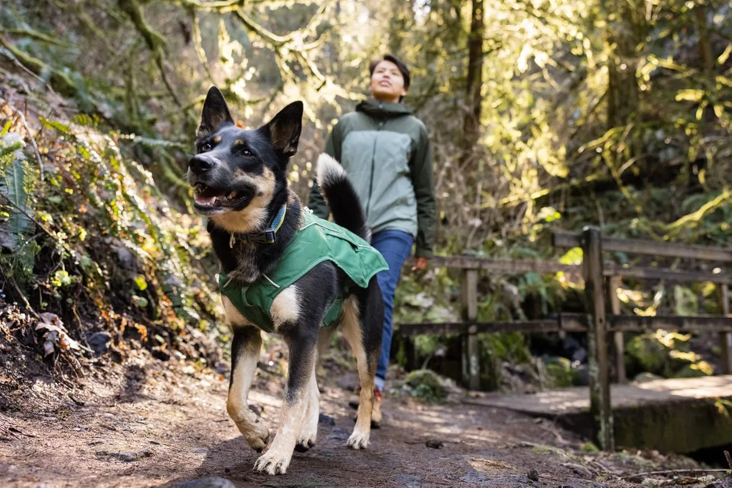 Ruffwear, Overcoat Fuse Jacket Harness Combo for Dogs, Evergreen, Medium