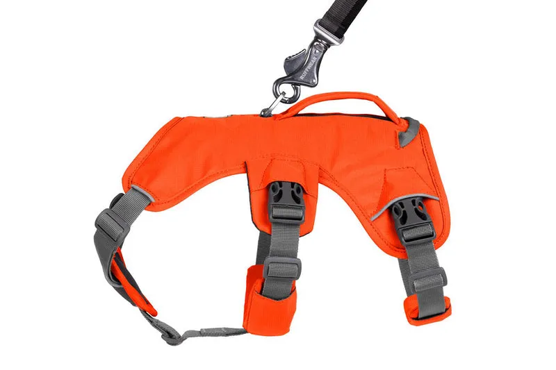 Ruffwear Web Master Dog Harness