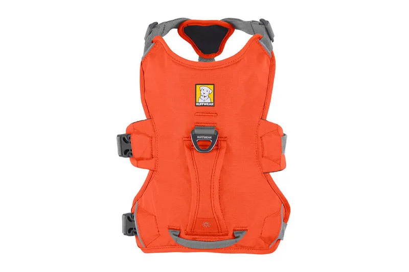 Ruffwear Web Master Dog Harness