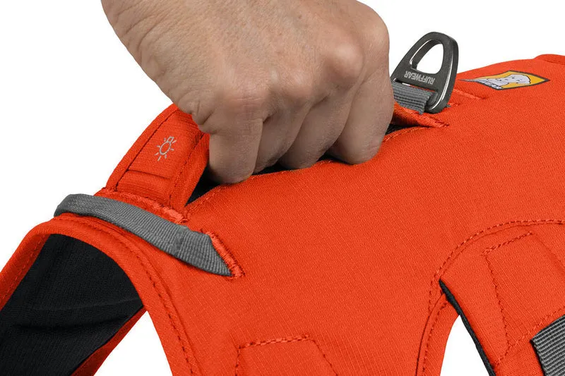Ruffwear Web Master Dog Harness