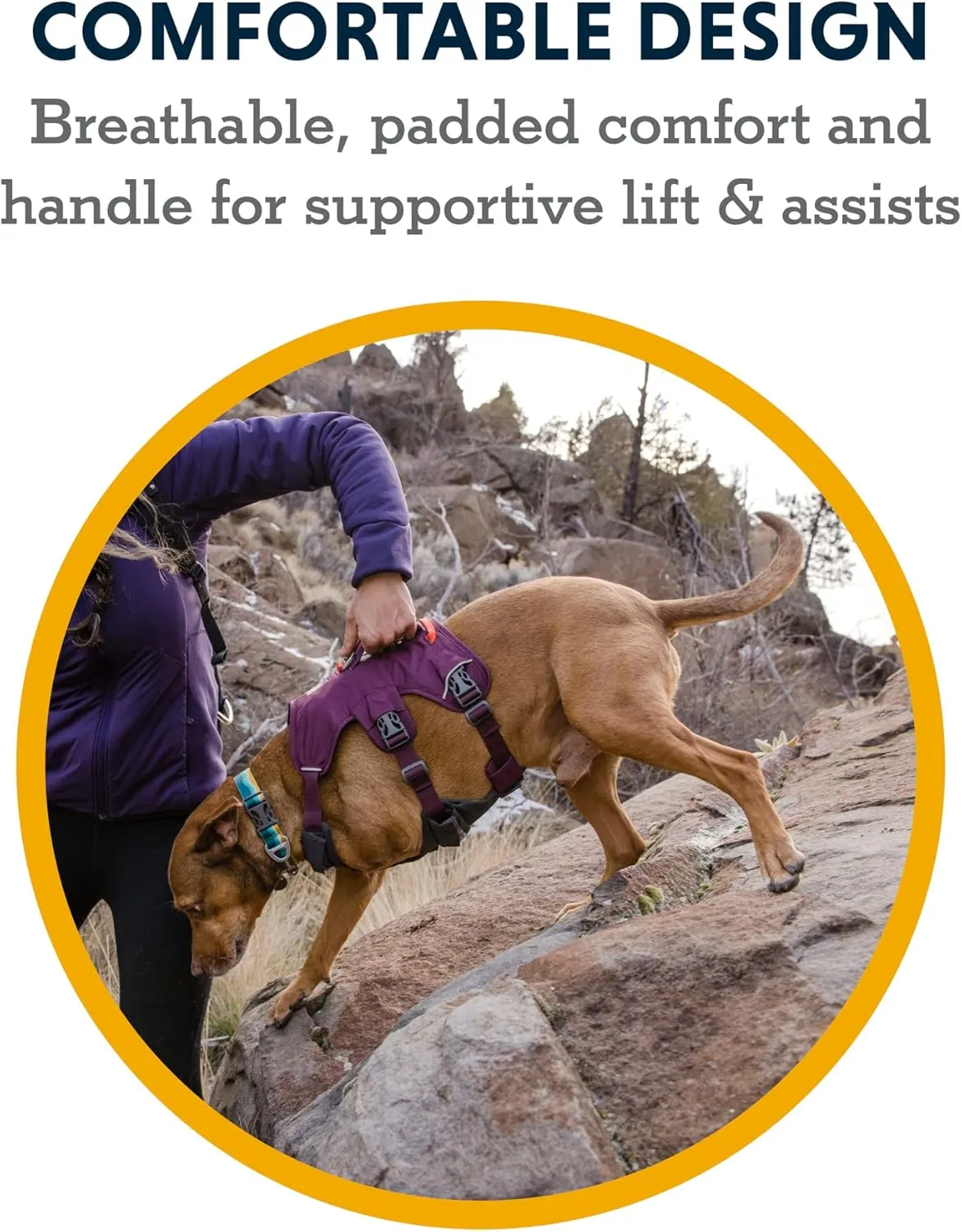 Ruffwear, Web Master, Multi-Use Support Dog Harness, Hiking and Trail Running, Service and Working, Everyday Wear, Blaze Orange, Large/X-Large