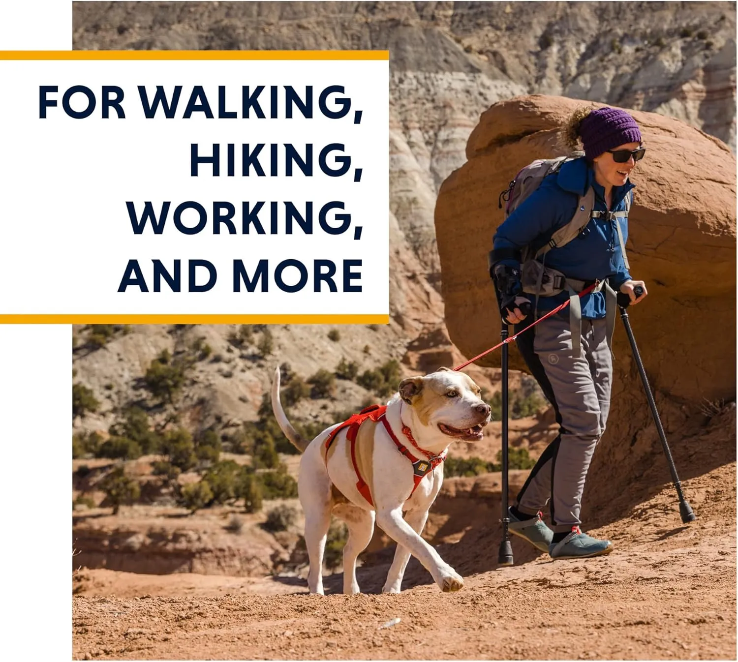 Ruffwear, Web Master, Multi-Use Support Dog Harness, Hiking and Trail Running, Service and Working, Everyday Wear, Slate Blue, Small