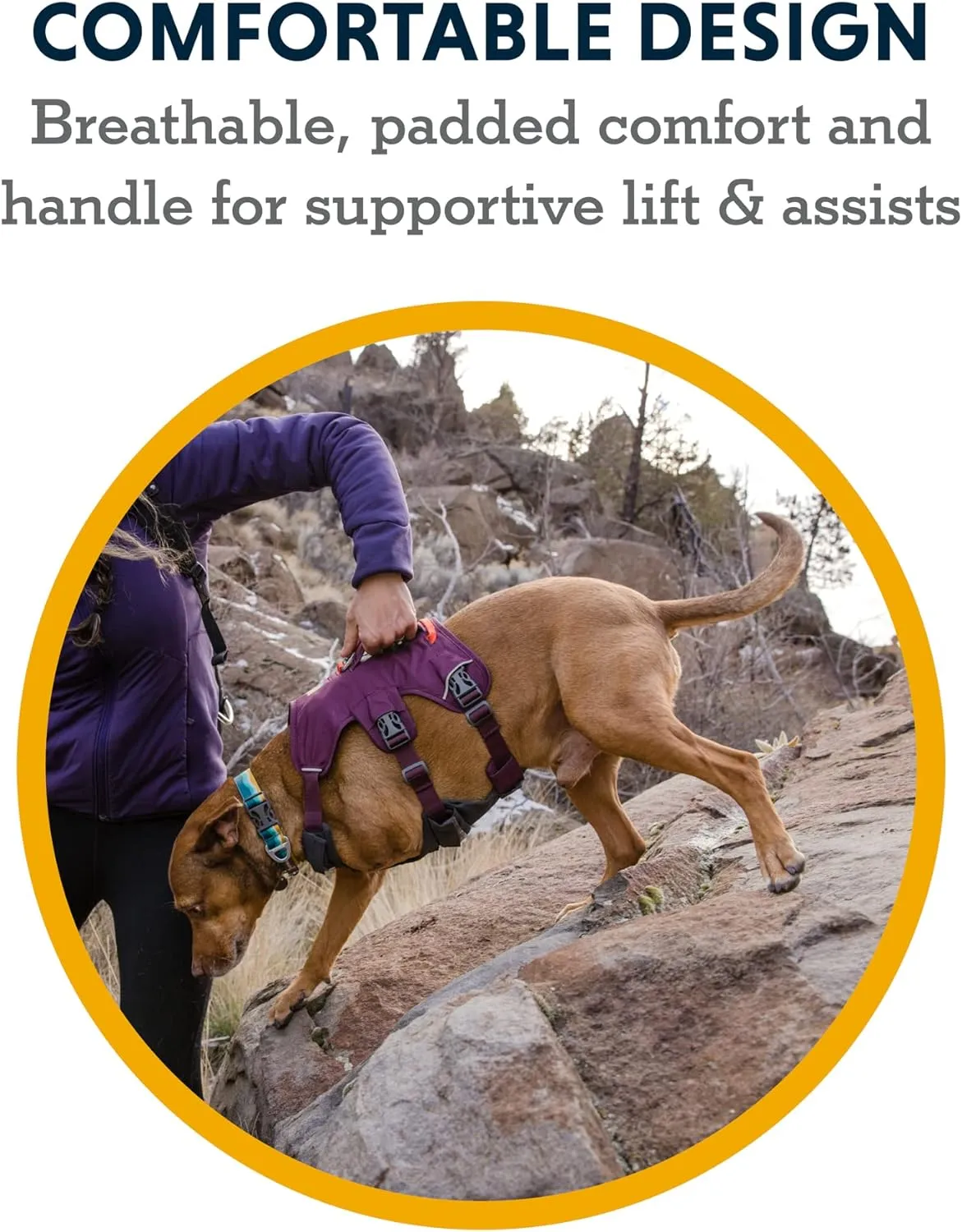 Ruffwear, Web Master, Multi-Use Support Dog Harness, Hiking and Trail Running, Service and Working, Everyday Wear, Slate Blue, Small