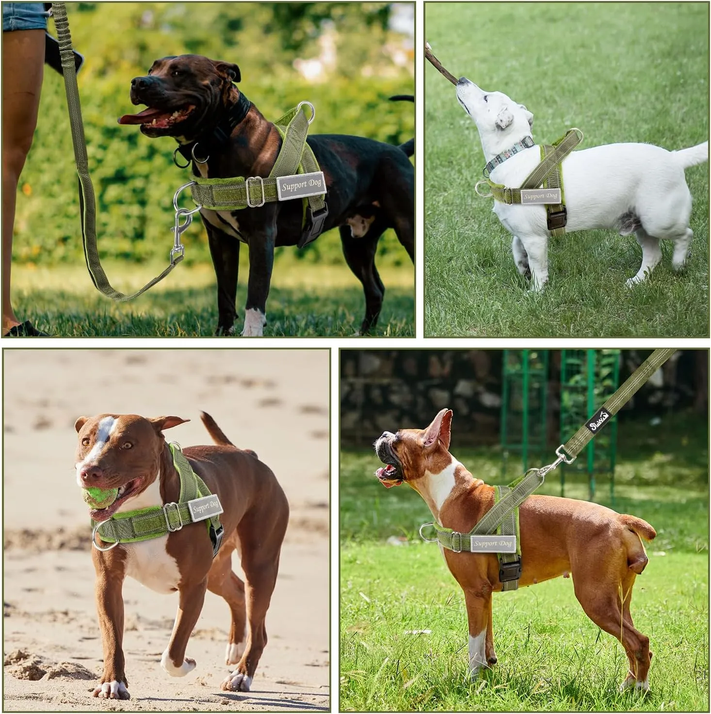 SlowTon No Pull Dog Harness - Heavy Duty Dog Harness and Leash Set for Medium Large Dogs, Reflective Tactical Harness with Soft Padded and Front Clip for Easy Walk and Training (Green L)