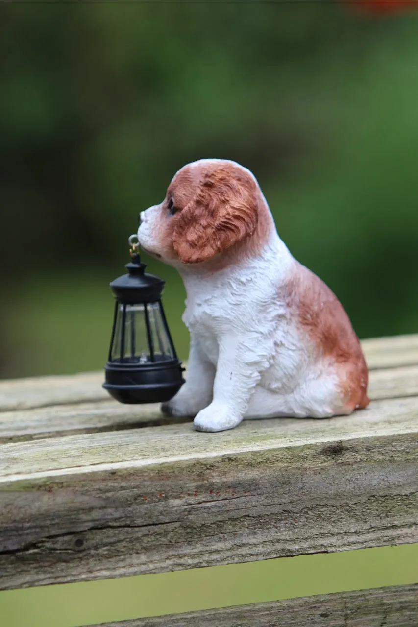 Solar Garden Puppy Spaniel with Lantern