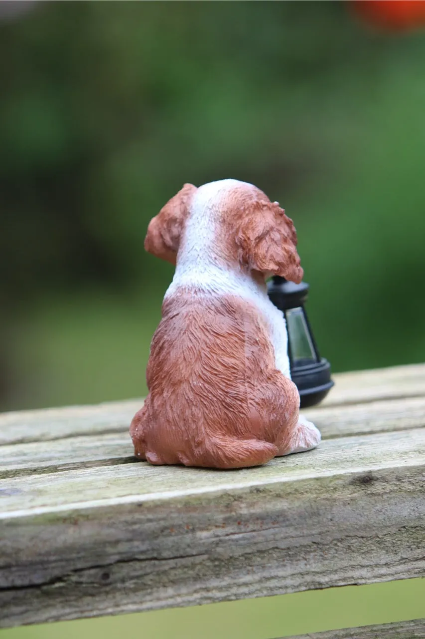 Solar Garden Puppy Spaniel with Lantern