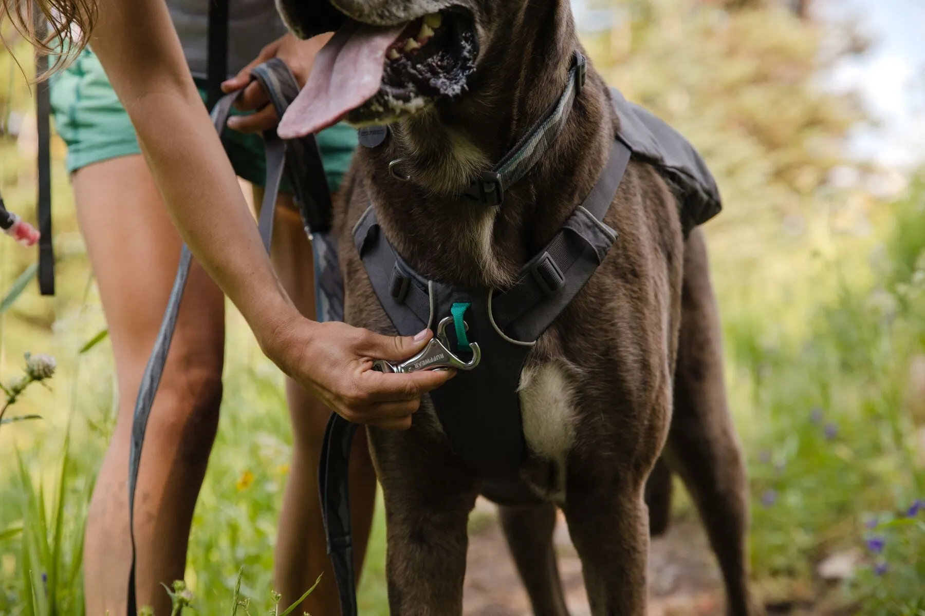Switchbak Harness
