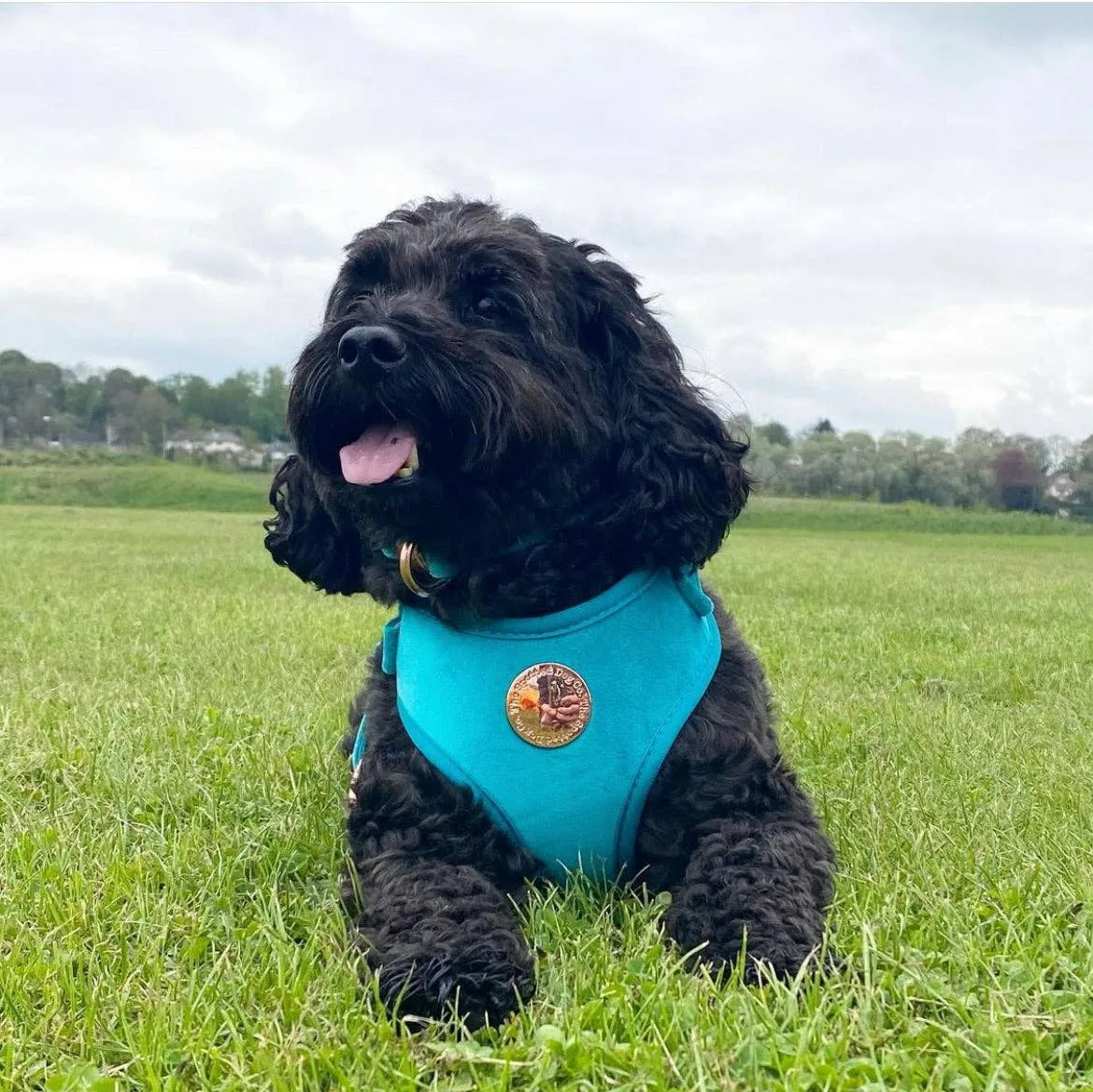 The Spotted Dog Company - Jade Velvet Harness: XS