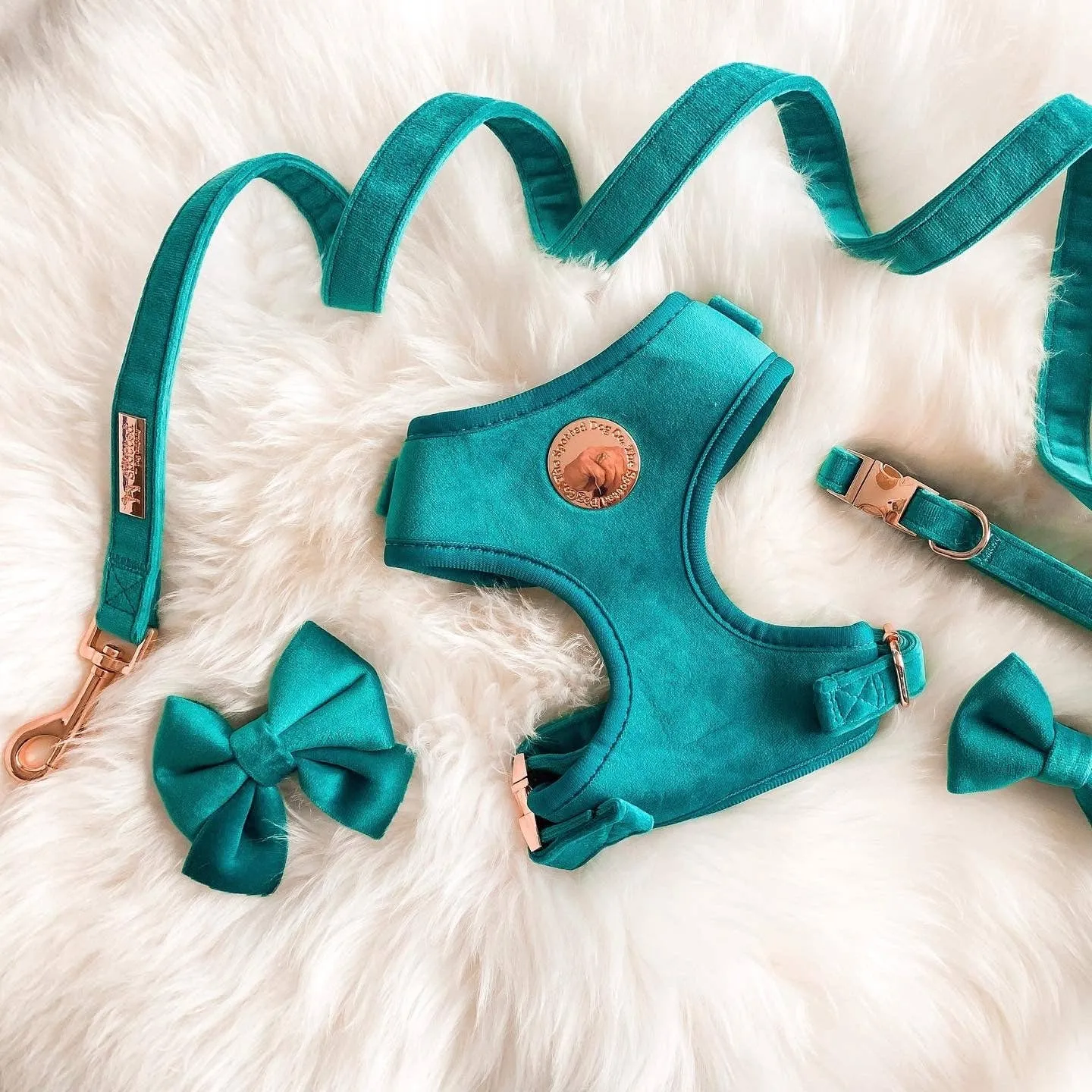 The Spotted Dog Company - Jade Velvet Harness: XS