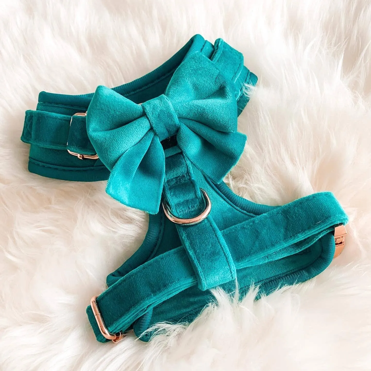 The Spotted Dog Company - Jade Velvet Harness: XS