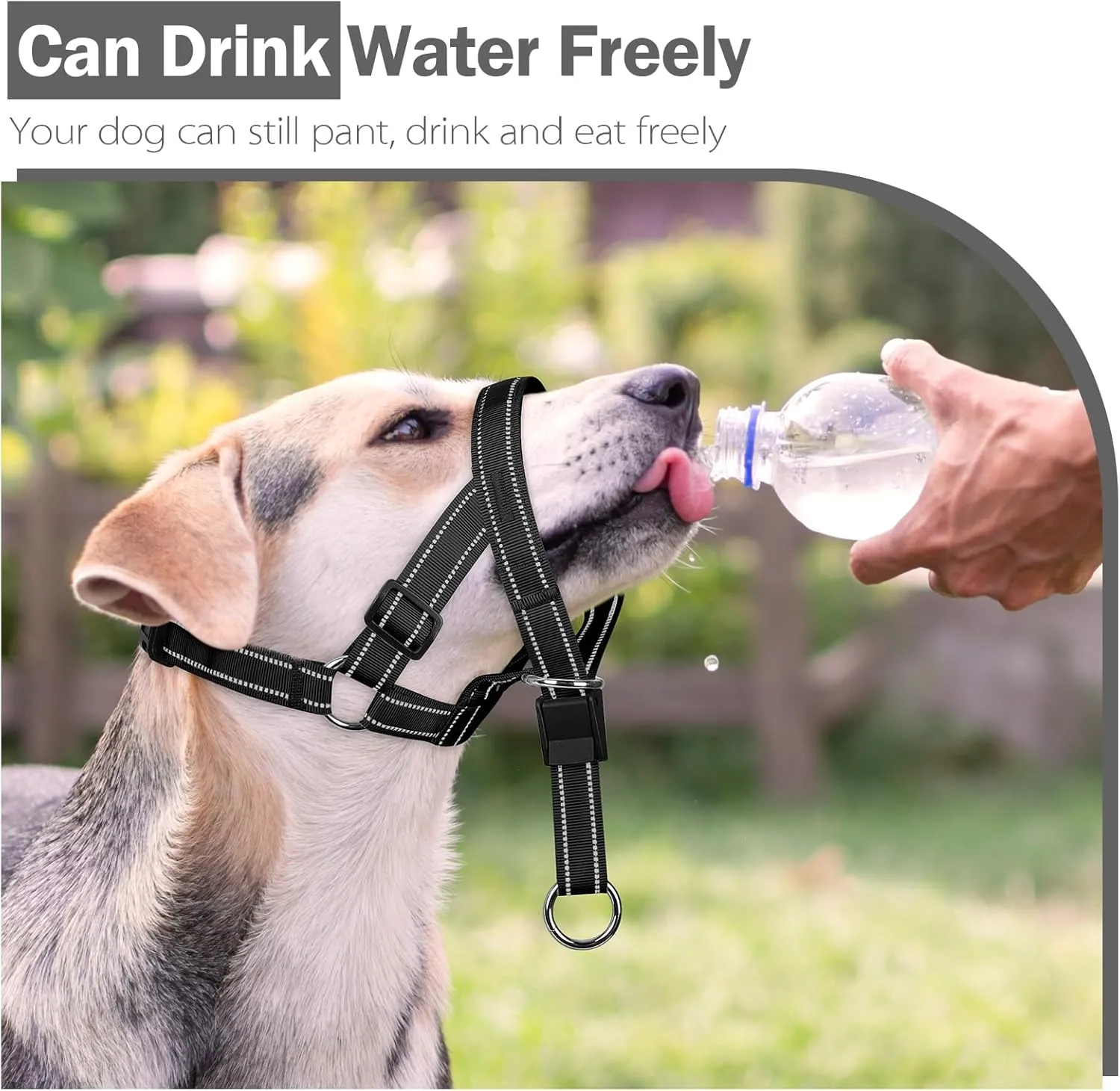 Weesiber Soft Dog Head Collar - Adjustable Dog Head Harness, Padded No Pull Head Halter Collar with Reflective Safety Strip for Training and Walking(Black,S)