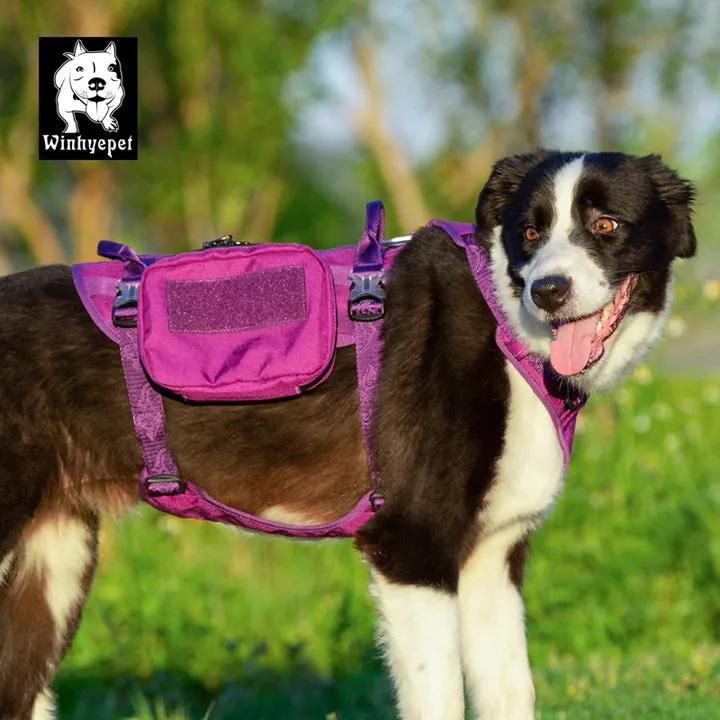 Whinhyepet Military Harness - Purple, XL